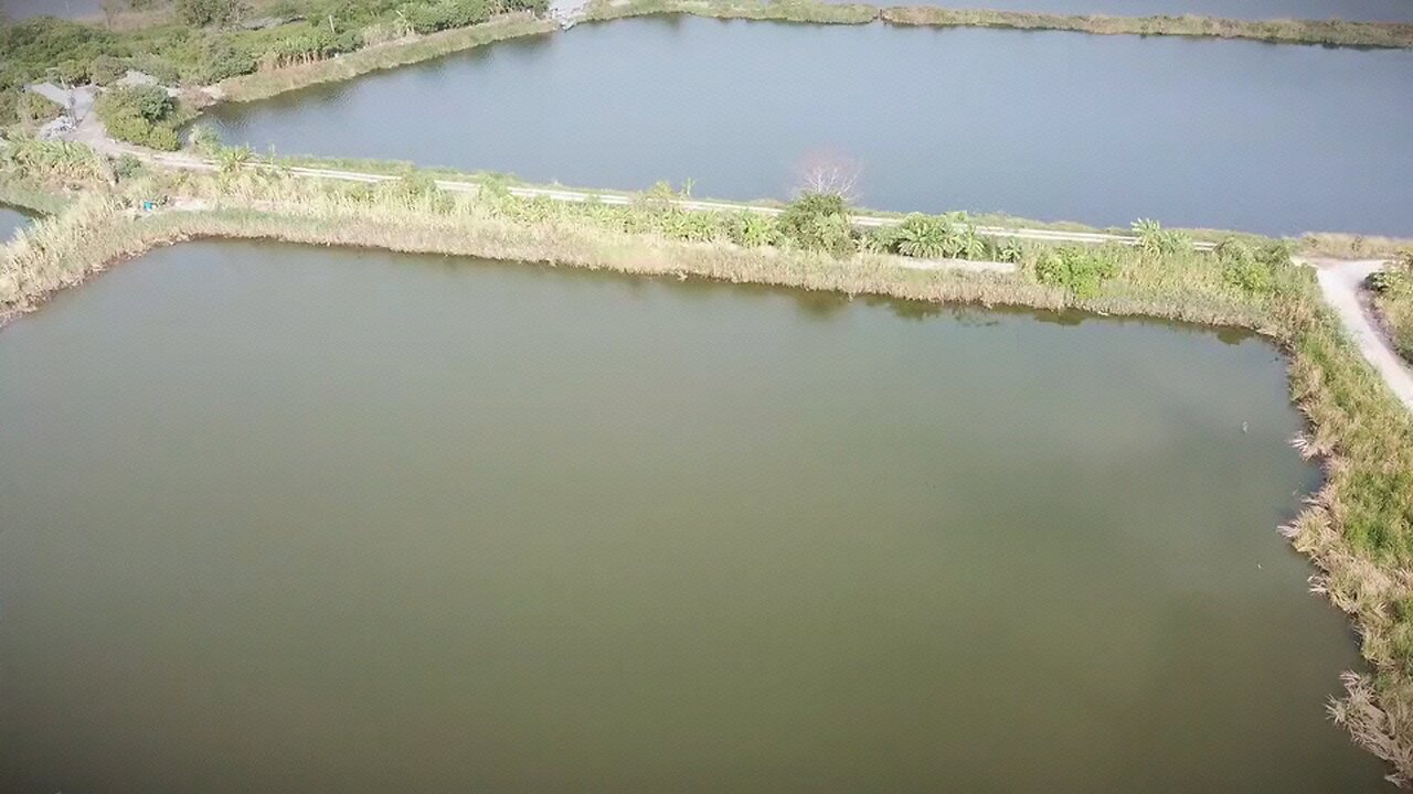 lake