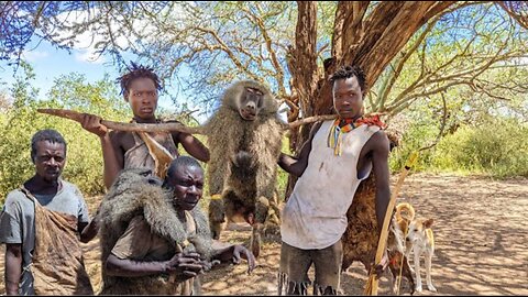 Hadzabe Tribe Made It Again With BIG BABOONS. The life of the hunter