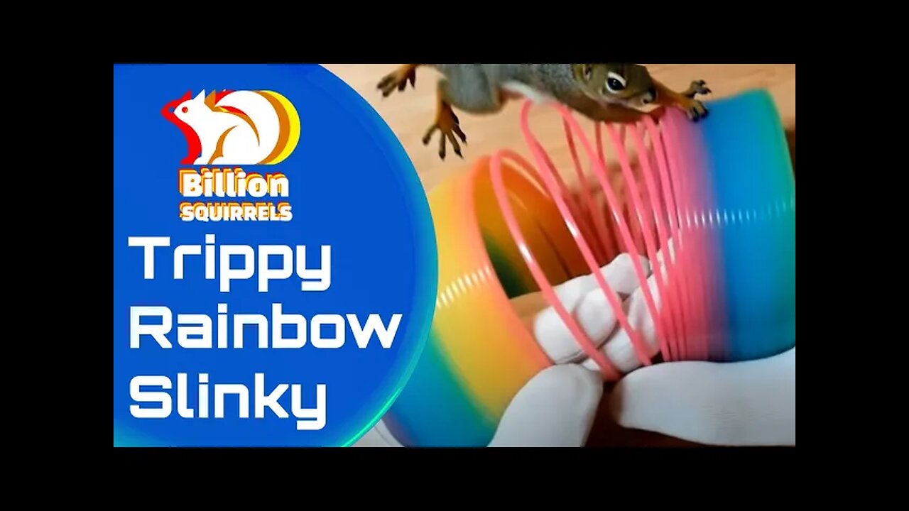 Trippy Rainbow Slinky 🌈