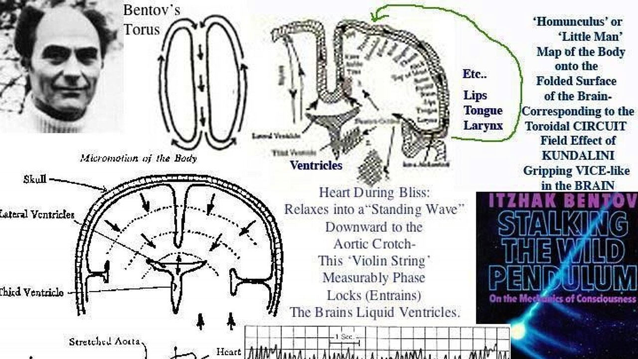 THE POWER OF THE MIND