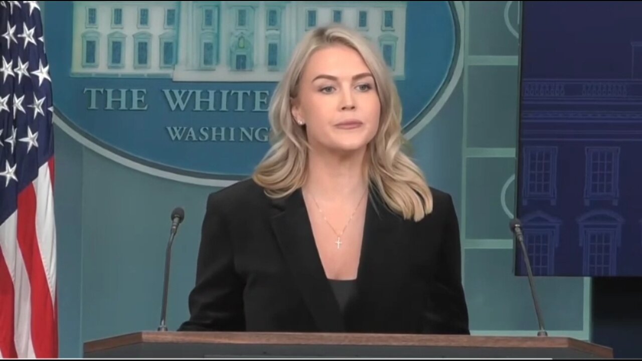 Karoline Leavitt: Its DEMOCRATS Who Are Inciting Violence