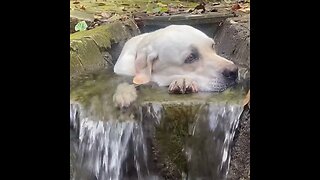 Not A Single Care Is Given…