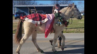 CERULEAN CHRISTMAS PARADE (Cerulean, KY) Dec. 21, 2024