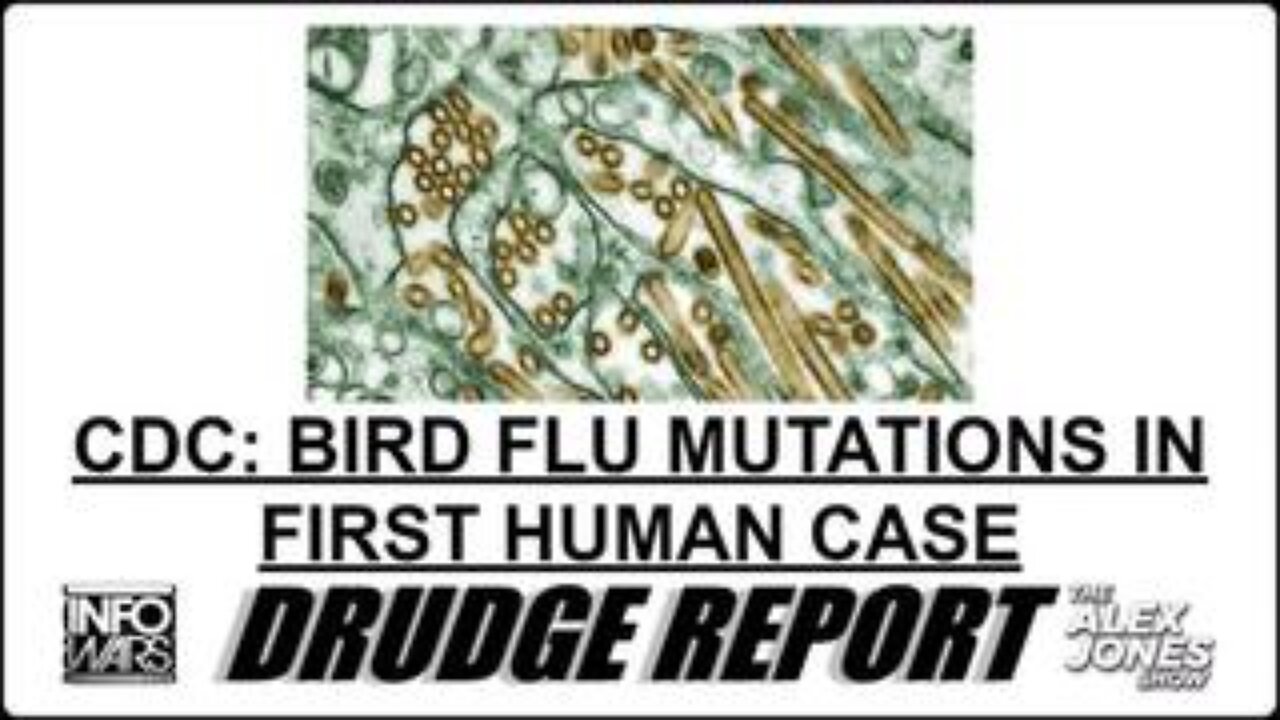 It's Official: The Democrat Controlled NIH/CDC Are Trying To Launch New Pandemic Hysteria