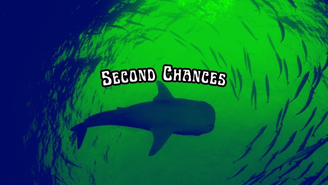 Second Chances: The Book of Jonah