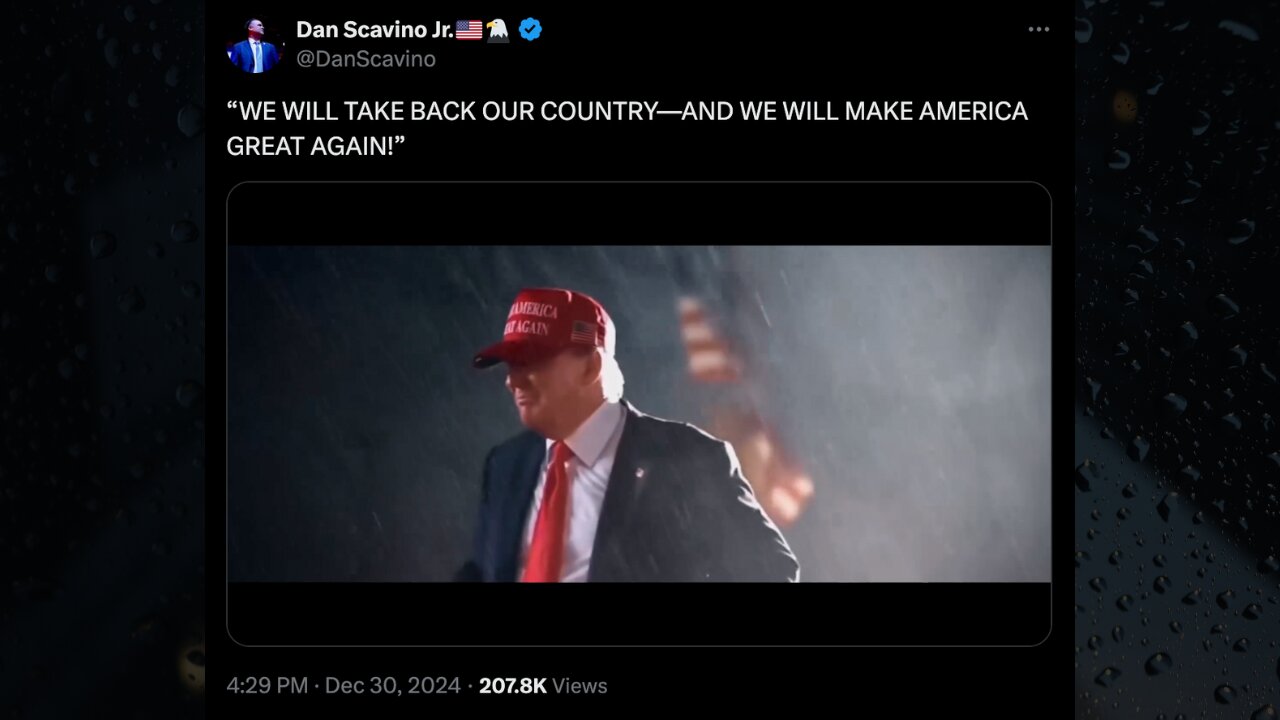 WE WILL TAKE BACK OUR COUNTRY—AND WE WILL MAKE AMERICA GREAT AGAIN!