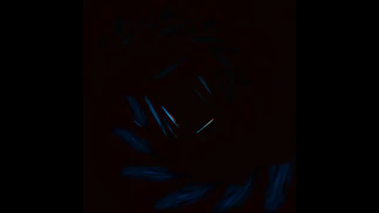 Mandy....Heidi'³³³ & Grant³³³