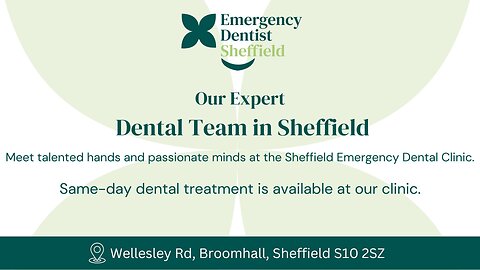 👩‍⚕️ Meet Our Expert Dental Team – Your Smile is in Good Hands!