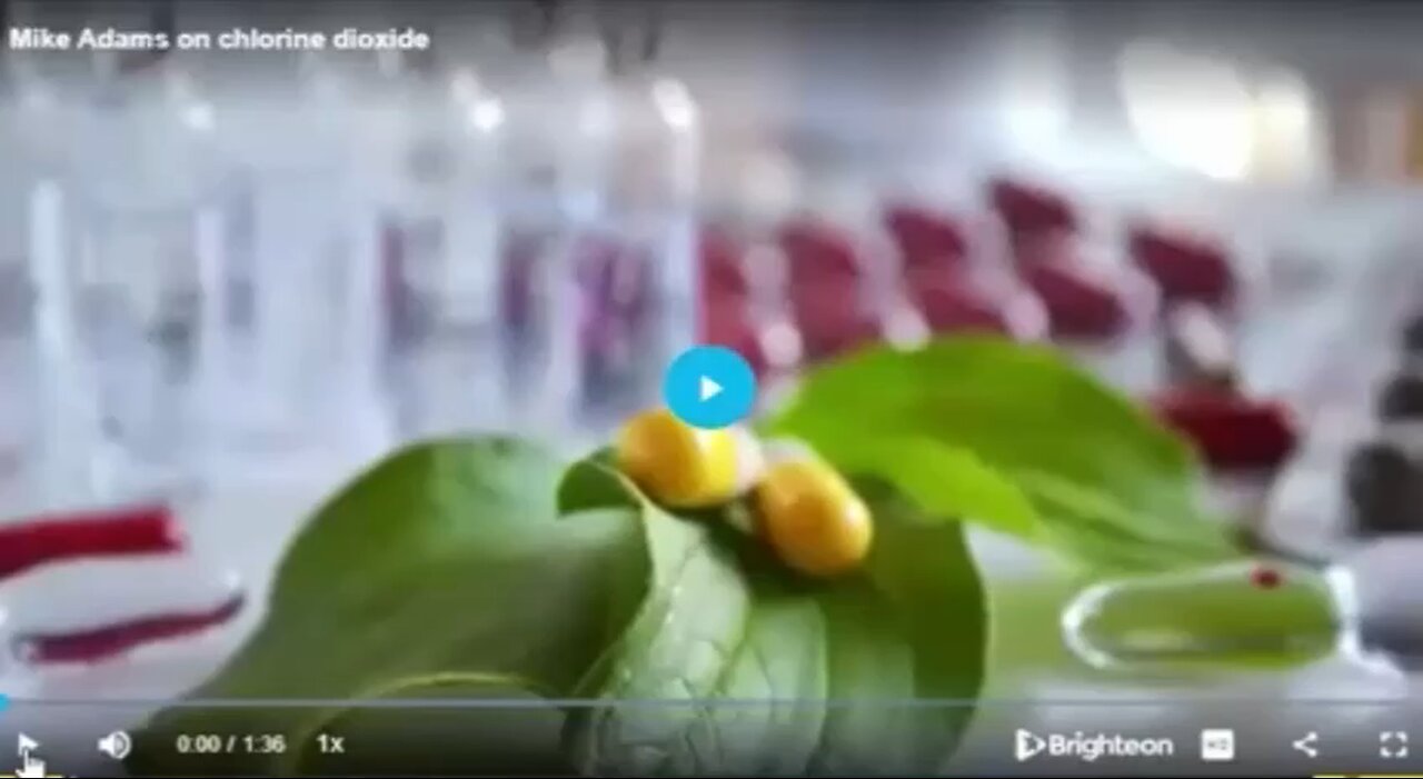 Mike Adams - Health Ranger Why Chlorine Dioxide (MMS) is not the same as Chlorine Bleach