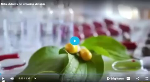 Mike Adams - Health Ranger Why Chlorine Dioxide (MMS) is not the same as Chlorine Bleach