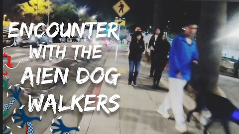 Invader Dog Walkers Experience American Exceptionalism BMX