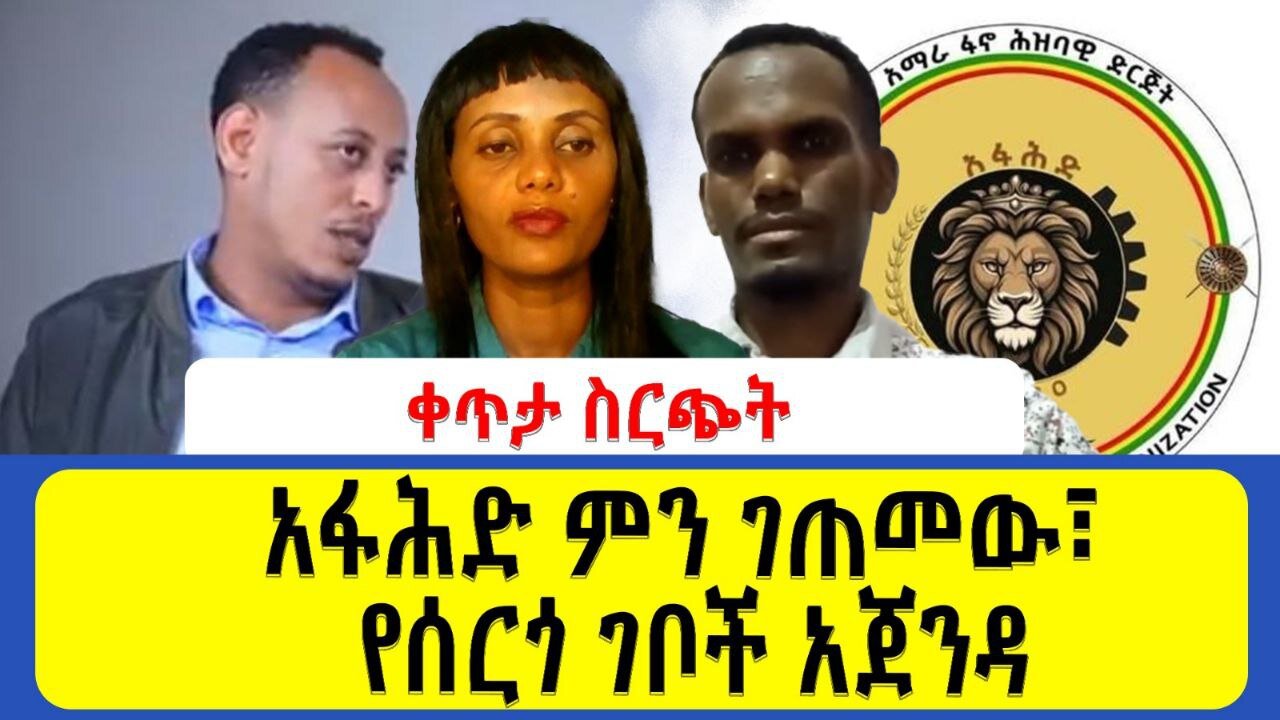 አፋሕድ ምን ገጠመው_ የሰርጎ ገቦች አጀንዳ