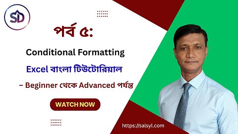 Microsoft Excel বাংলা টিউটোরিয়াল পর্ব ৫: Conditional Formatting