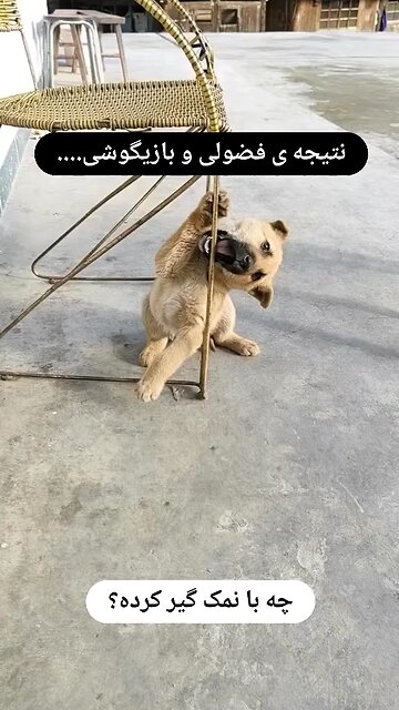 این کلیپ توی اینستای من 27 میلیون ویو خورد