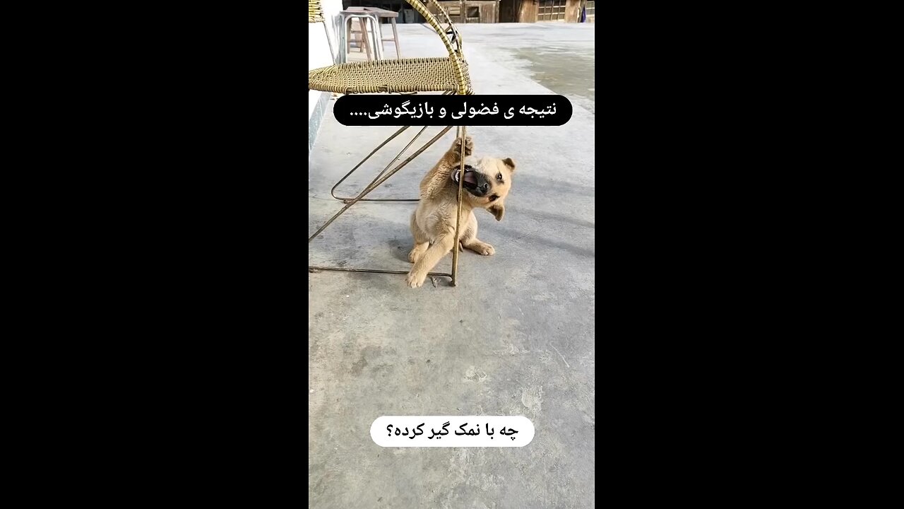 این کلیپ توی اینستای من 27 میلیون ویو خورد