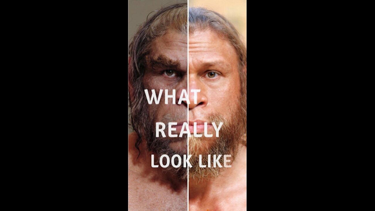 Myth-busting the Neanderthals: Not the Brutes You Imagine | E35.1 | The Origin Pulse