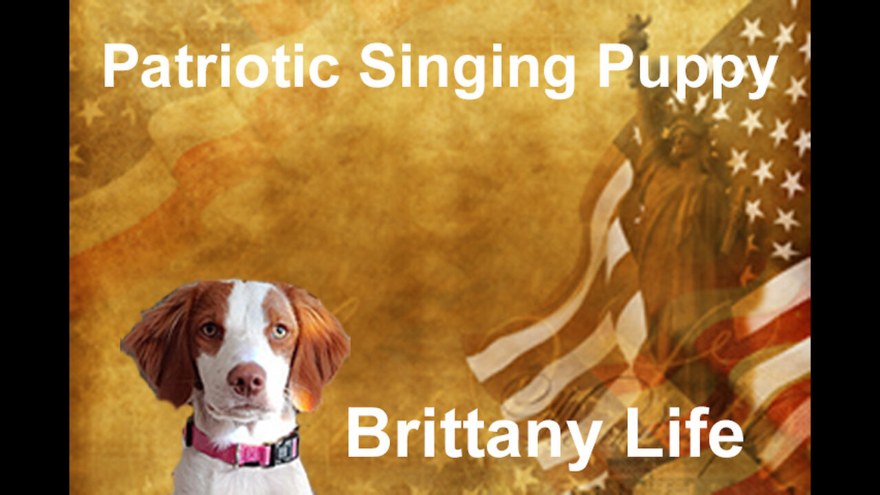 Patriotic Singing Puppy