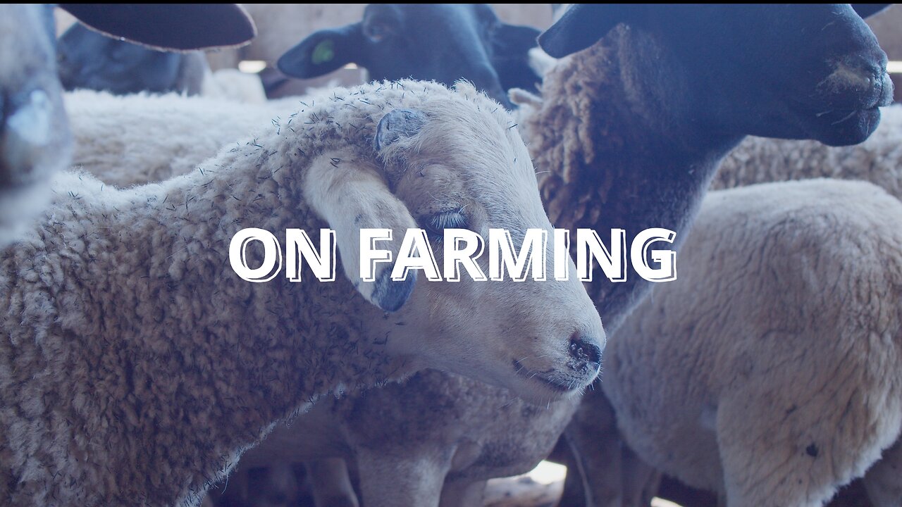 On Farming|Short Film