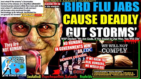 Gates Insider: Bird Flu Jab Causes 'Gut Storms,' Trial Participants 'Shat Out Internal Organs'