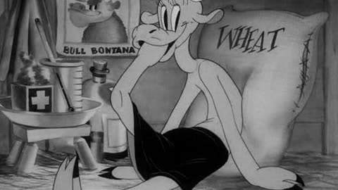 Looney Tunes Golden Collection S1938E02 Porky's Poppa