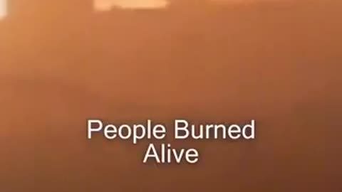 BARBeRIC ZIONEST ANIMAL INSHAPE OF HUMAN