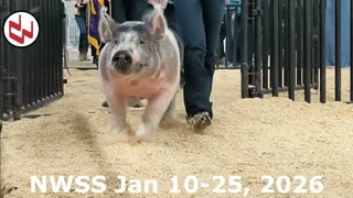 Trent Loos in the Morning - 11/18/2025