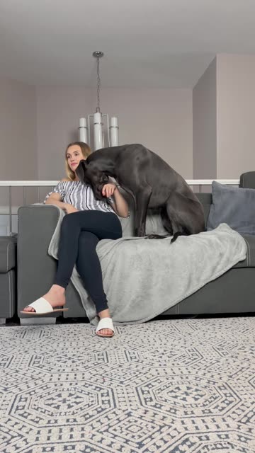 Ignoring My Great Dane to Get His Reaction