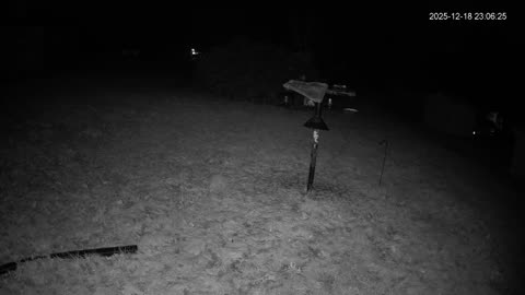 Bird Feeder in Western Maryland USA