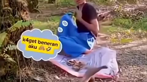 🤪 Busy With Morning Chores | FunFM