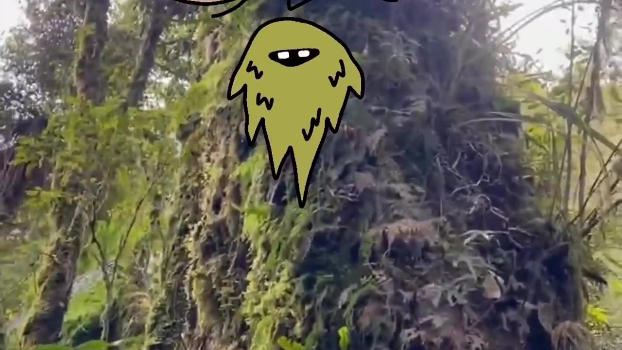 🤣