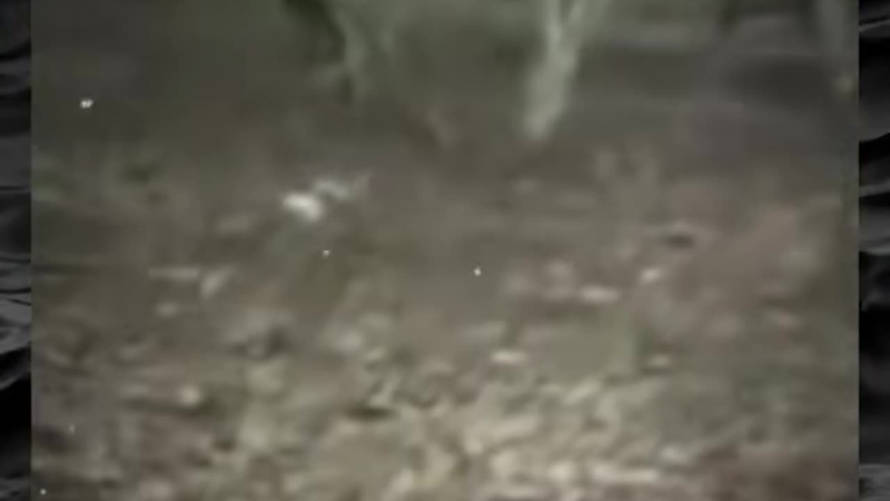 😨👻 The Scariest Paranormal Videos Ever! Part 39 | TheHauntingHour