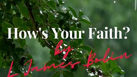 How's Your Faith? by L James Bolin