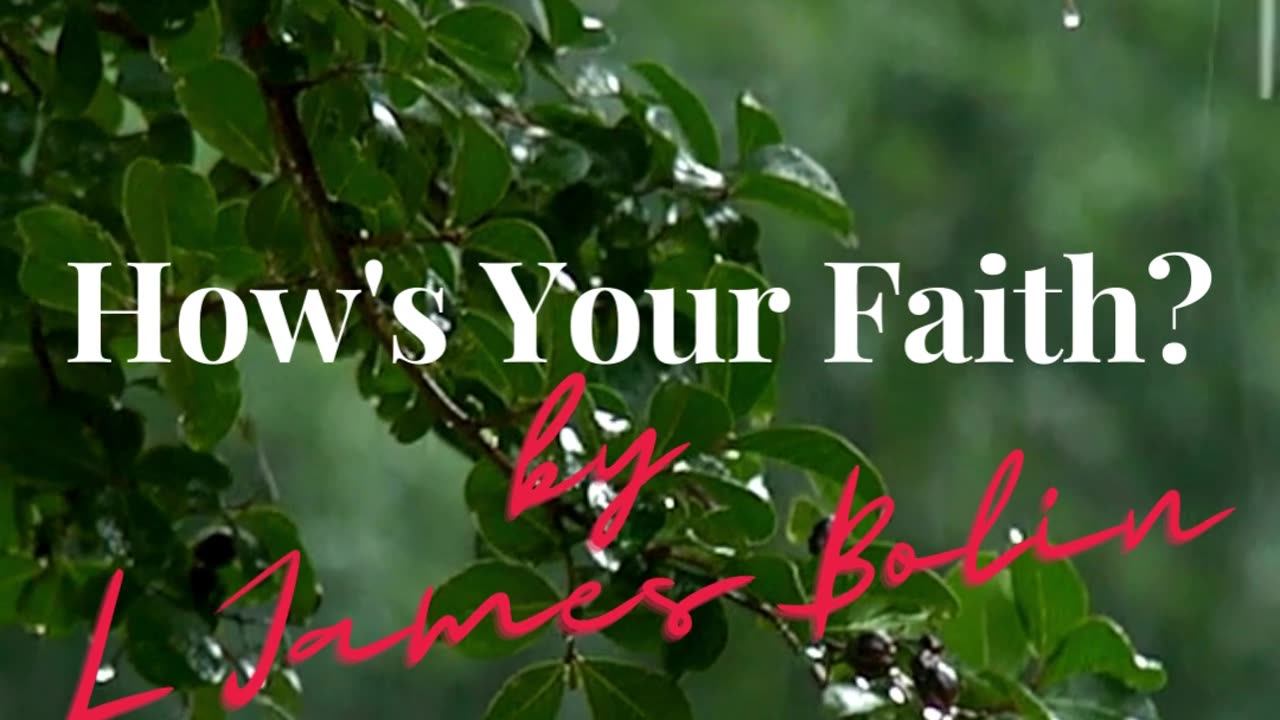 How's Your Faith? by L James Bolin