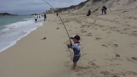 Young 3 year old angler catches an 13 lb Australian Salmon (Arripis trutta)