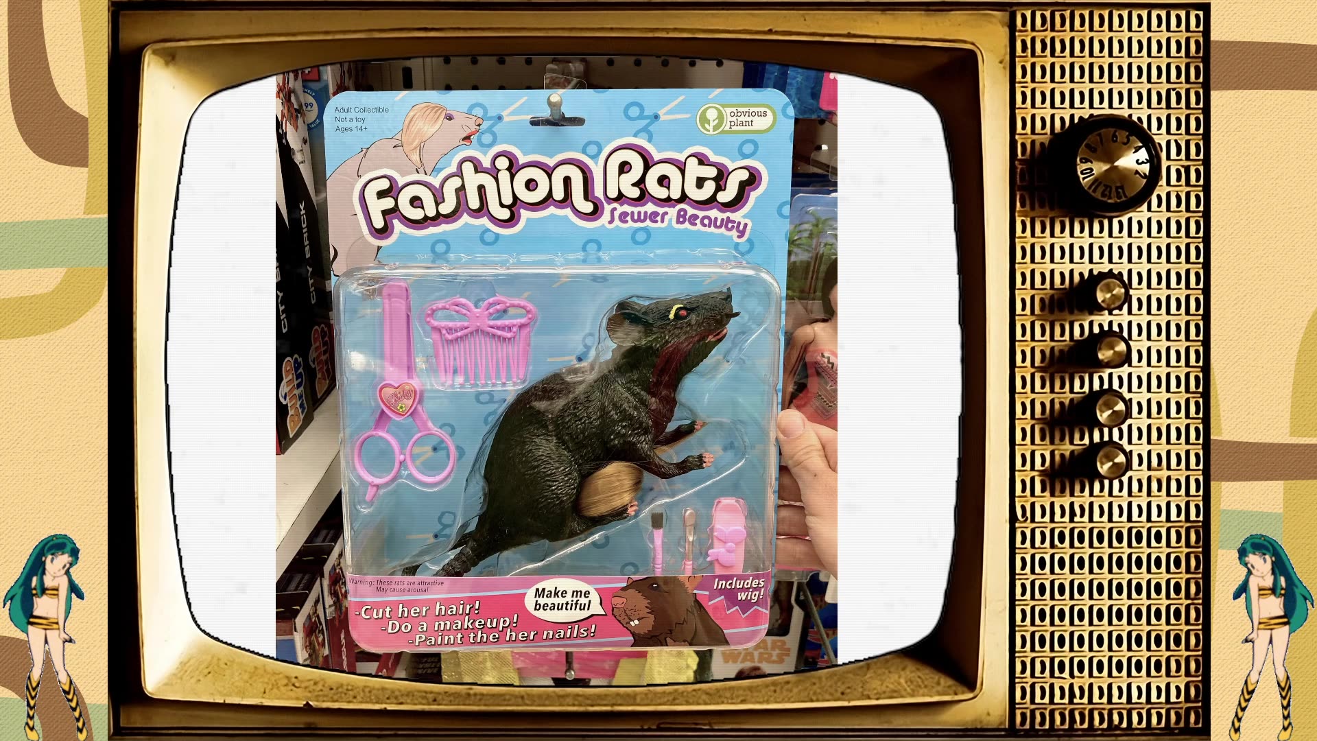 Gibb Shopping Network 2026 - Week 25