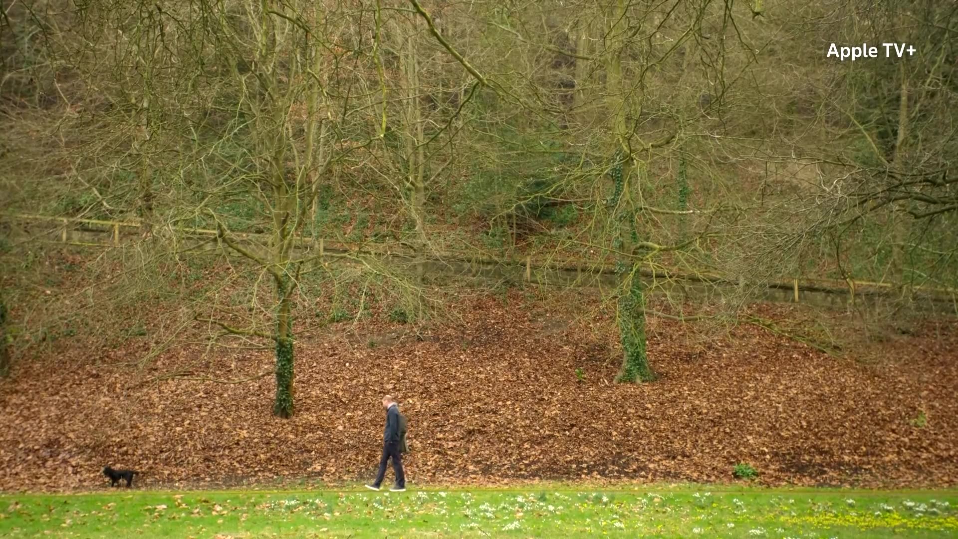 I miss my grandmother, says Prince William in The Reluctant Traveler’