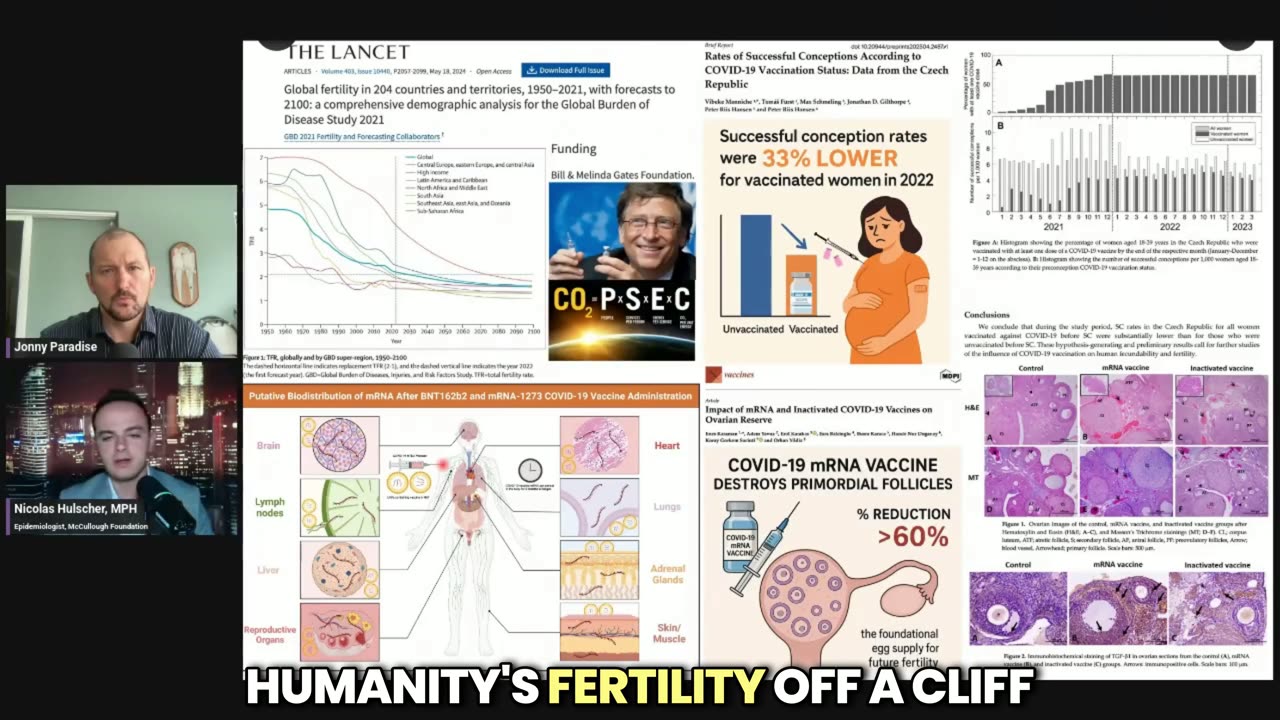 ניקולס הולשר הנתונים המטרידים של חיסוני הקורונה הרס הביציות ופגיעה בפוריות