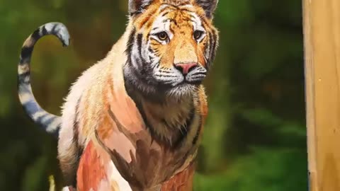 Painting a Realistic Tiger _ Time lapse