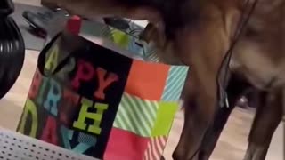 Dropping Off Presents