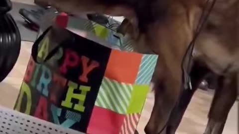 Dropping Off Presents