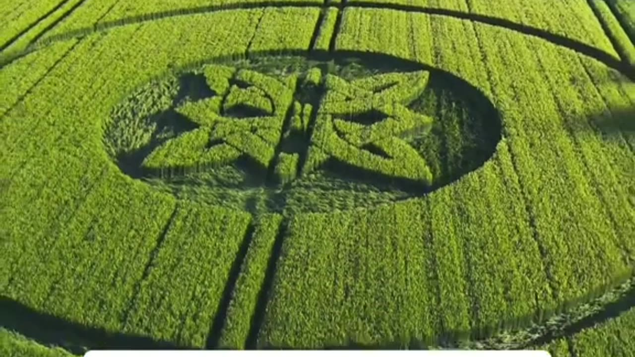 🌿👽 Bizarre Crop Circle in Sutton Veny, England on May 17, 2025! | TheTruthAbove