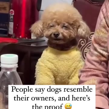 Resemblance Proved 😂