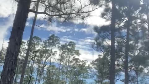 Bluefield Preserve Trail