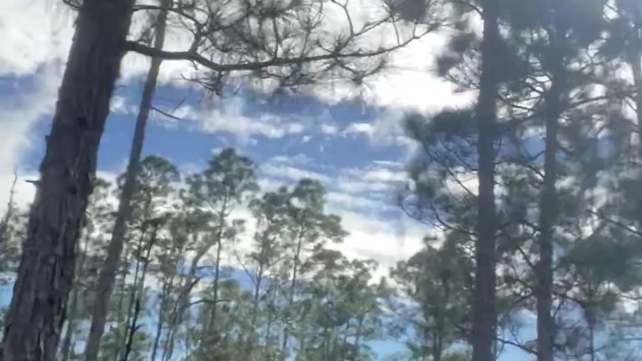 Bluefield Preserve Trail