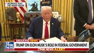 Trump: Elon Musk is a very talented guy