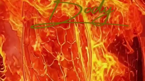 Unlock Physical Vitality: High-Performance Health for the Modern Hustle