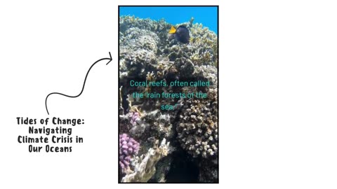 Start Earning from Your Rumble Videos — Let’s Promote Together!”