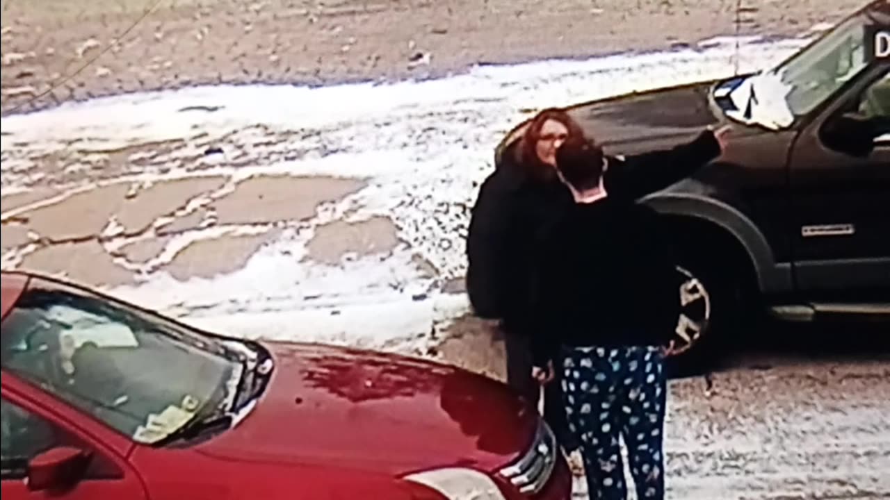 Road rage incident: equal rights in action