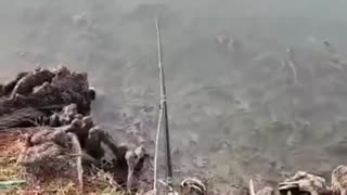 Thoughts on Fly Fishing