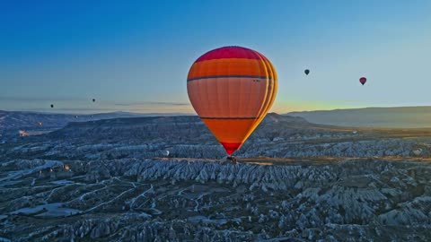 Blue Heavenly Garden